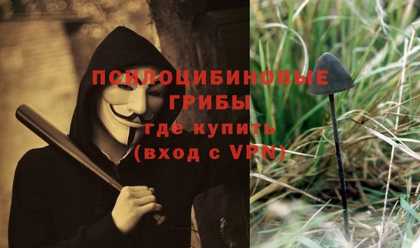 винт Верея