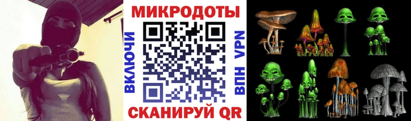Купить закладки  Малгобек  Галлюциногенные грибы Psilocybe 