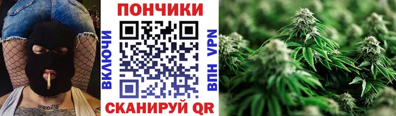 Купить  Малгобек  Бошки марихуана White Widow 